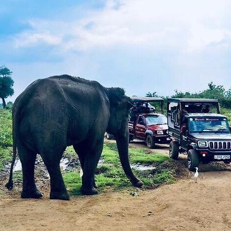 Forest Dew Udawalawa ウダワラウェ エクステリア 写真