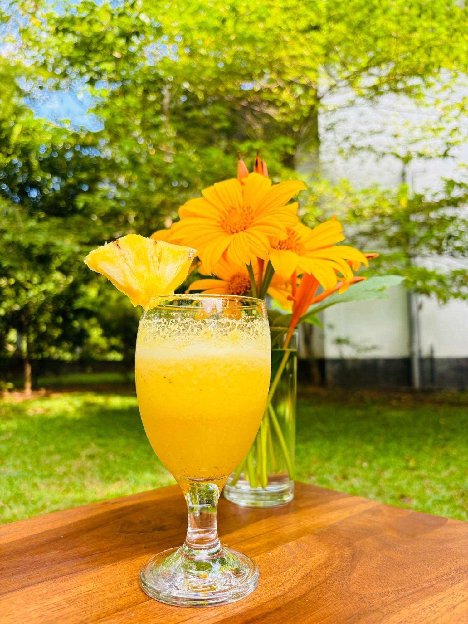 Forest Dew Udawalawa ウダワラウェ エクステリア 写真